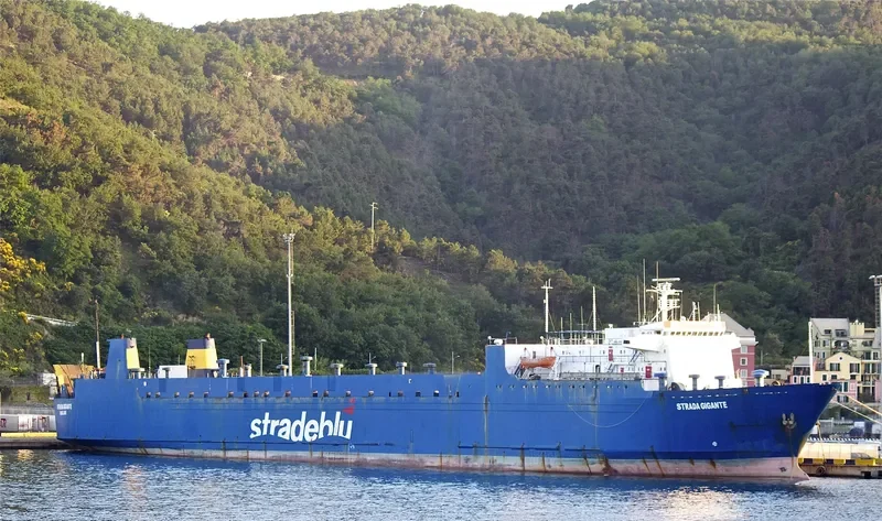GIGANTE Ro-Ro IMO 7617735 photo 9