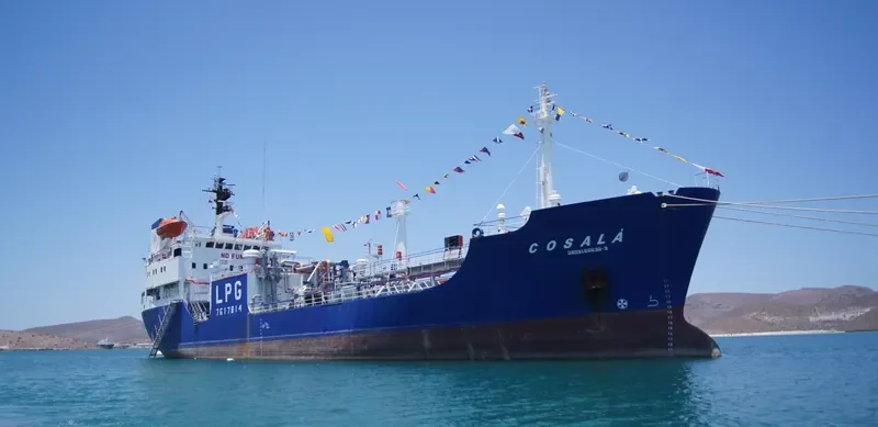 COSALA General Cargo IMO 7617814 photo 2