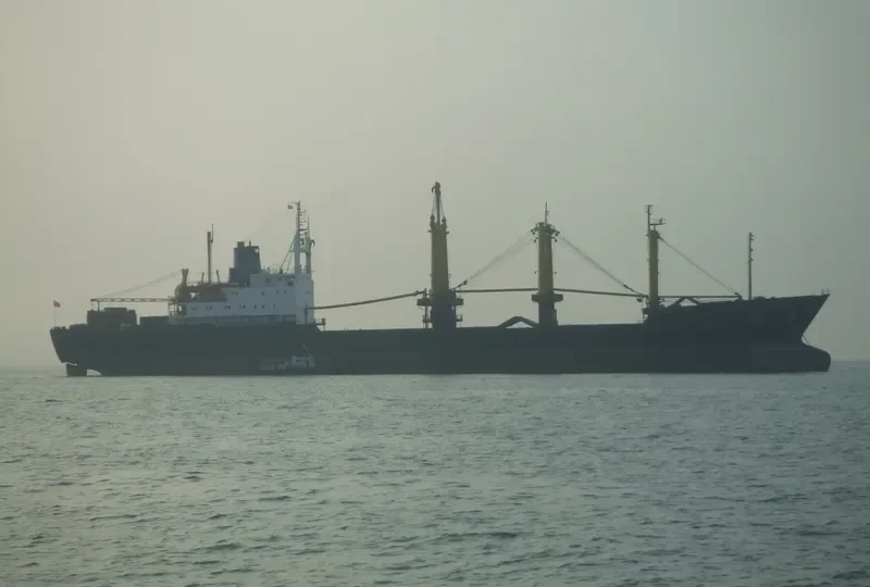MARKOVO General Cargo IMO 7617888