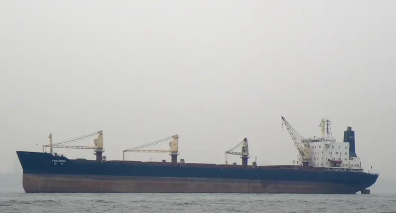 PAULOWNIA Bulk Carrier IMO 7617967 photo 4
