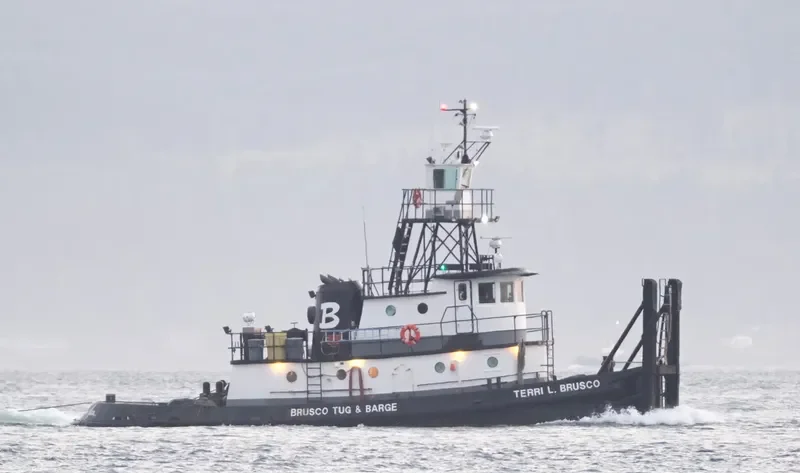 TERRI L.BRUSCO General Cargo IMO 7618155 photo 8