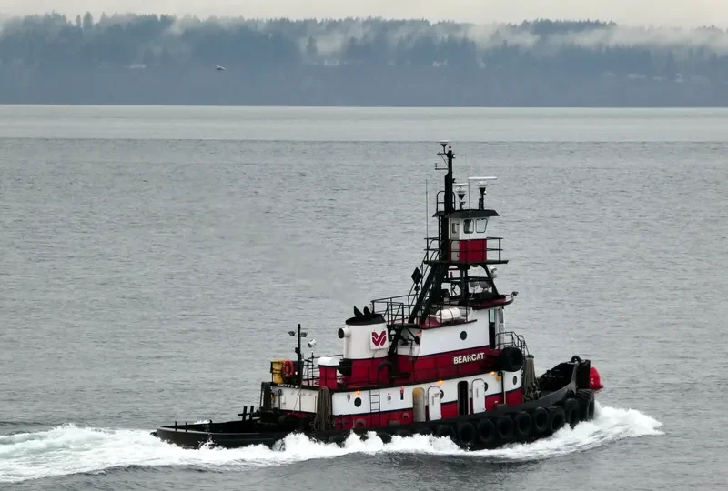 BEARCAT General Cargo IMO 7618167