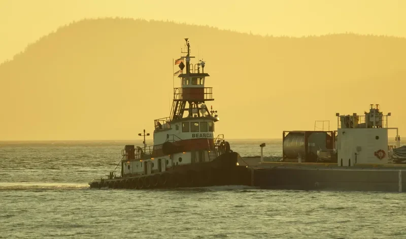 BEARCAT General Cargo IMO 7618167 photo 7