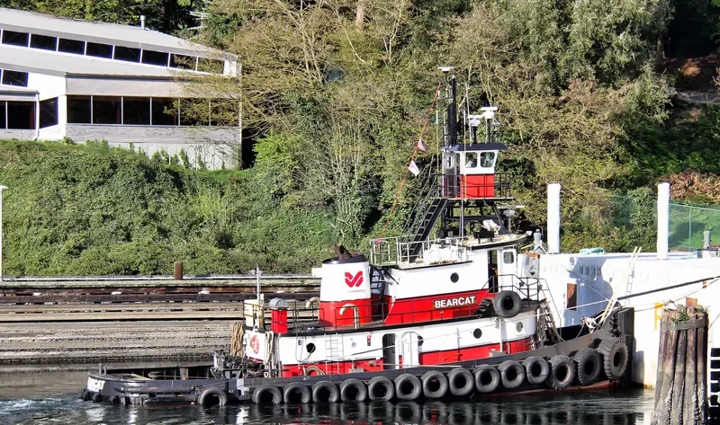 BEARCAT General Cargo IMO 7618167 photo 8
