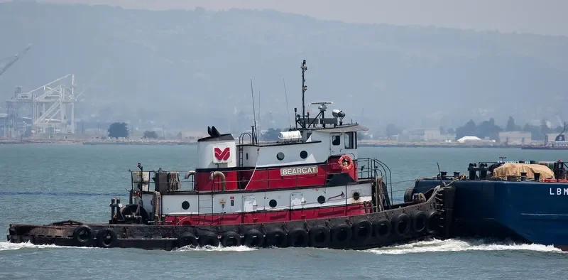 BEARCAT General Cargo IMO 7618167 photo 10