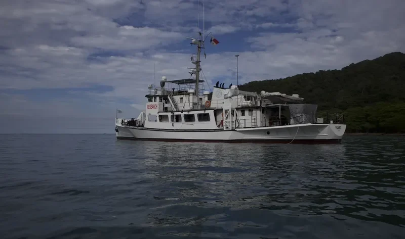 PLANET Offshore Supply Vessel IMO 7618193