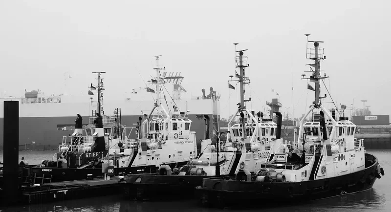 FINN General Cargo IMO 7619290 photo 6