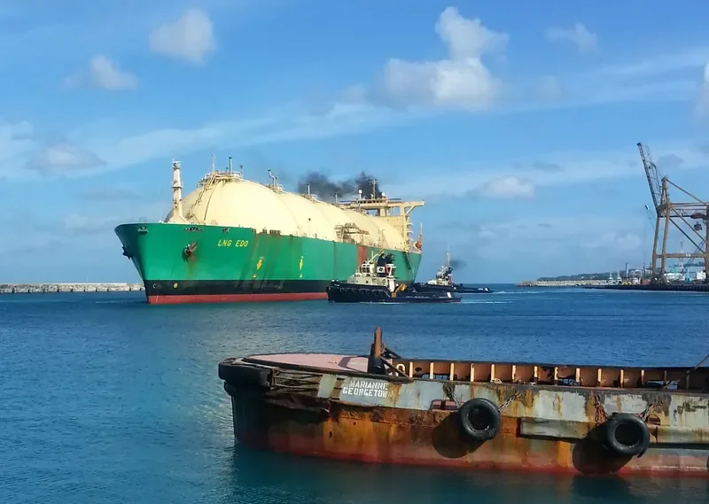 SOUTH ENERGY General Cargo IMO 7619587 photo 2