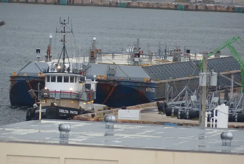 DELTA FAITH Tug Boat IMO 7619941 photo 4