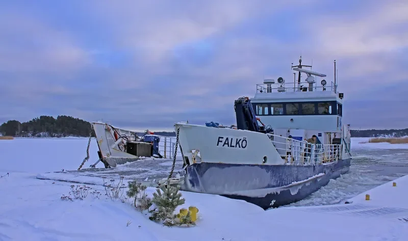 FALKO Ro-Ro IMO 7621475 photo 6