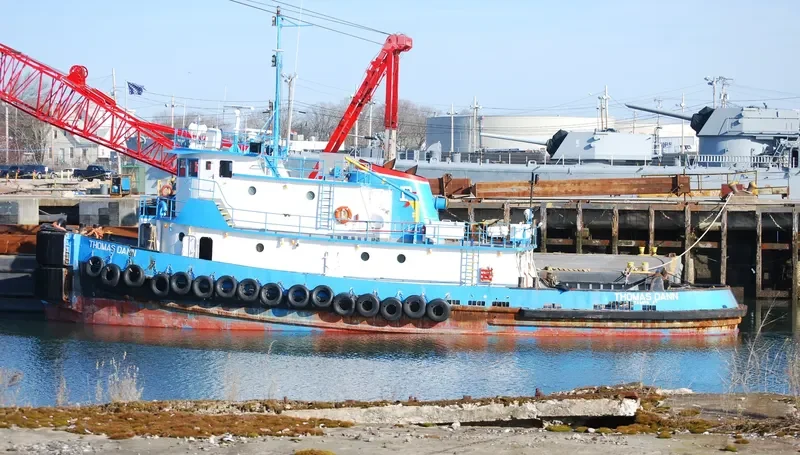 THOMAS DANN General Cargo IMO 7621786 photo 10