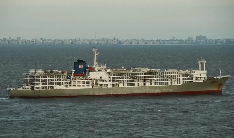 ZEIN I General Cargo IMO 7622041 photo 3