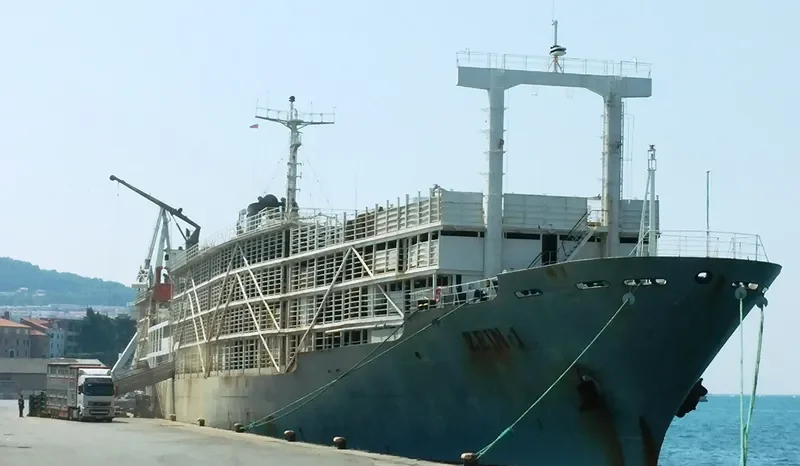 ZEIN I General Cargo IMO 7622041 photo 4