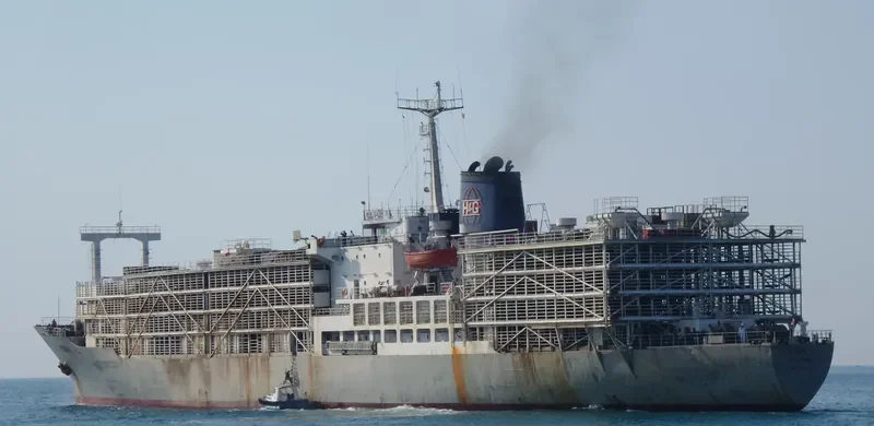 ZEIN I General Cargo IMO 7622041 photo 5