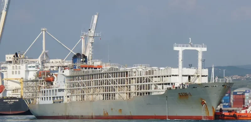 ZEIN I General Cargo IMO 7622041 photo 6