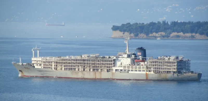 ZEIN I General Cargo IMO 7622041 photo 7