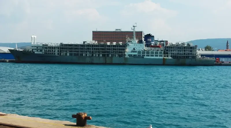 ZEIN I General Cargo IMO 7622041 photo 8