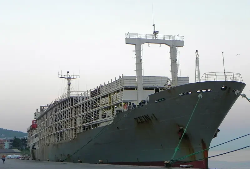 ZEIN I General Cargo IMO 7622041 photo 9
