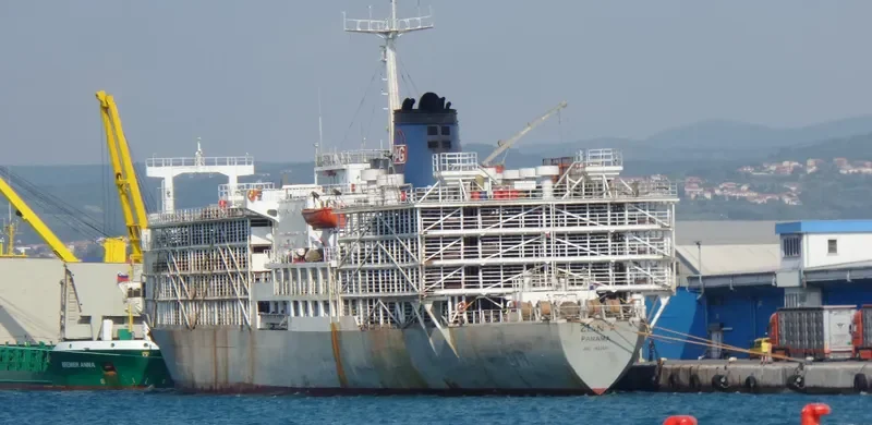ZEIN I General Cargo IMO 7622041 photo 10