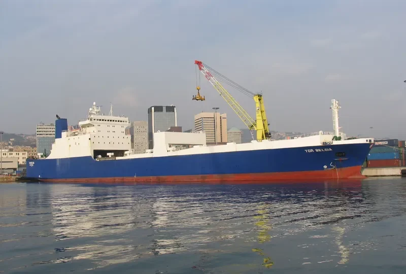 DUBAI GATE Ro-Ro IMO 7624063 photo 4