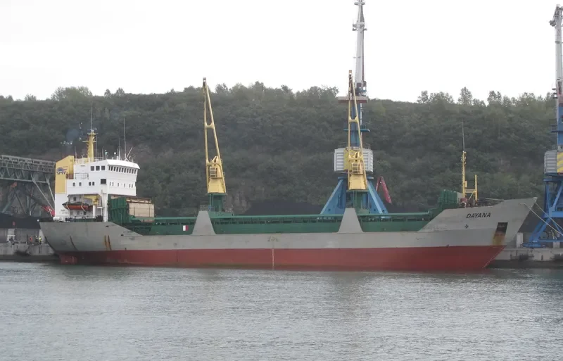 DAYANA General Cargo IMO 7624312 photo 6