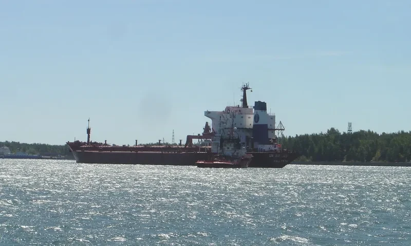 UNFAIR LADY Bulk Carrier IMO 7625055 photo 4