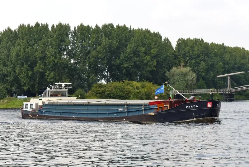 PANDA General Cargo IMO 7625287 photo 3