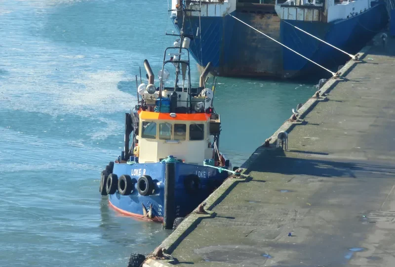 LOKE R General Cargo IMO 7625433 photo 8