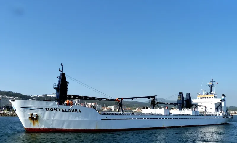 MONTELAURA General Cargo IMO 7625500