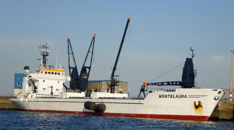 MONTELAURA General Cargo IMO 7625500 photo 8