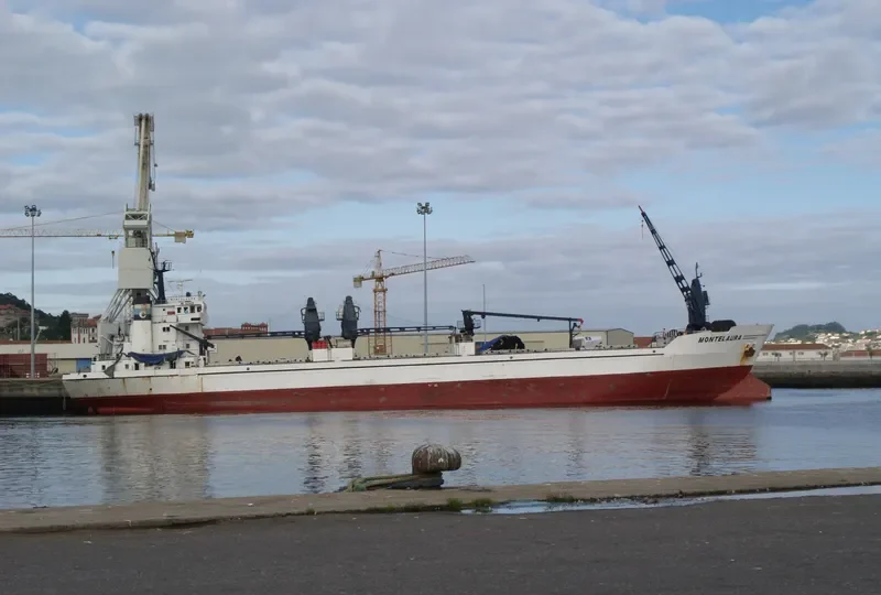 MONTELAURA General Cargo IMO 7625500 photo 10
