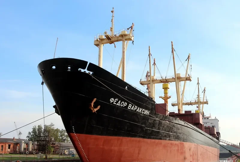 FEDOR VARAKSIN General Cargo IMO 7625691 photo 10