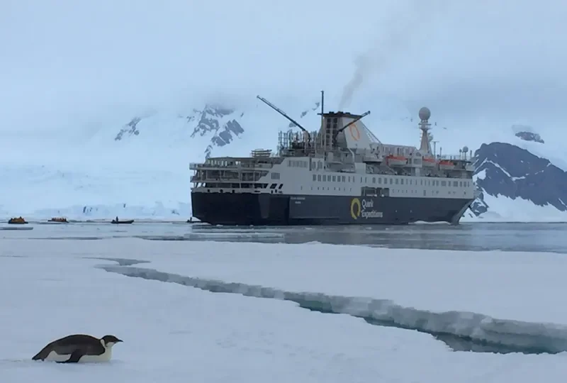 OCEAN ENDEAVOUR Passenger Ship IMO 7625811 photo 6