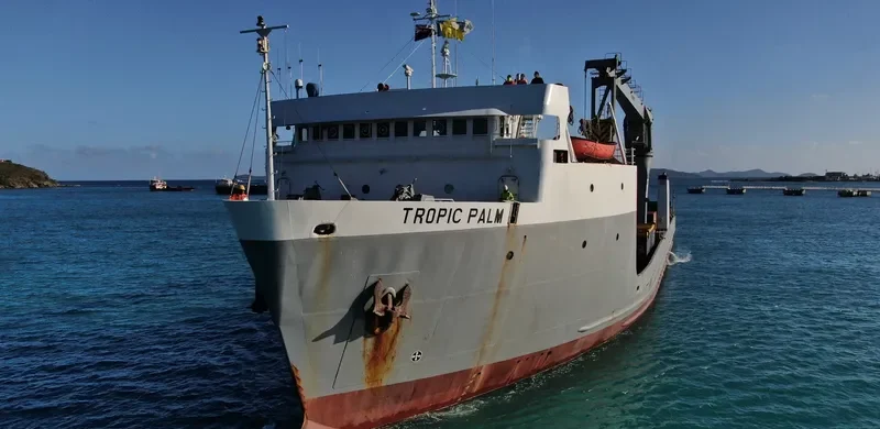 TROPIC PALM General Cargo IMO 7625964 photo 7