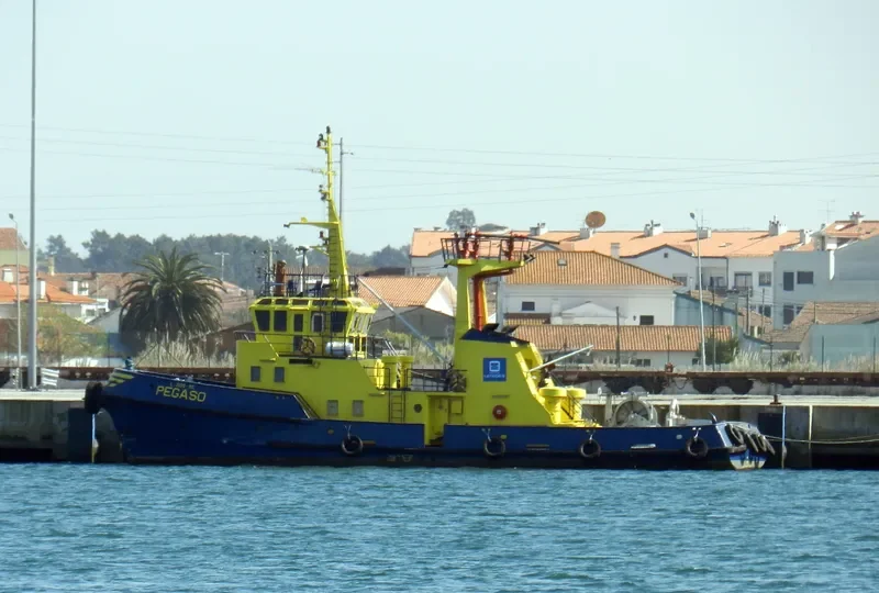 PEGASO General Cargo IMO 7626073