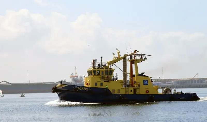 PEGASO General Cargo IMO 7626073 photo 5