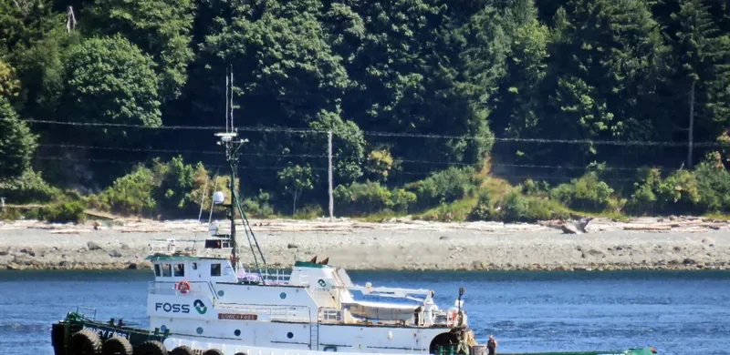 RICHARD O General Cargo IMO 7626190 photo 7