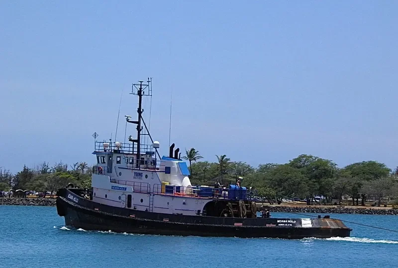 MOANA HOLO General Cargo IMO 7626205