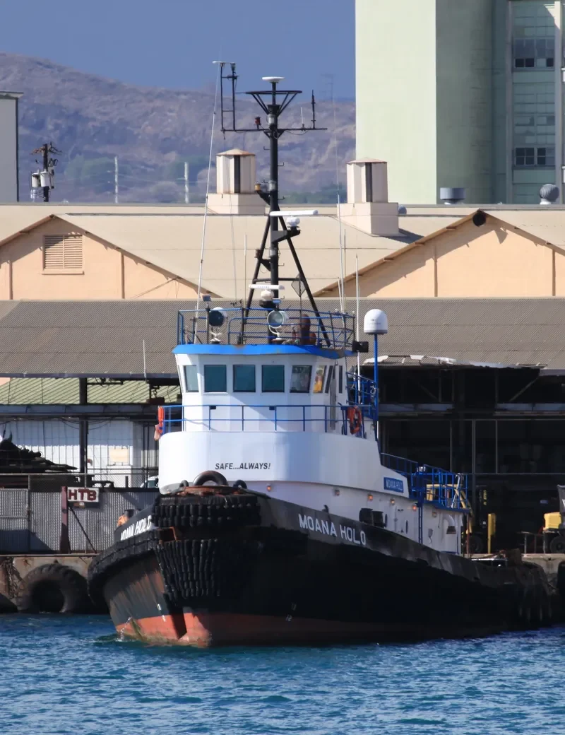 MOANA HOLO General Cargo IMO 7626205 photo 2