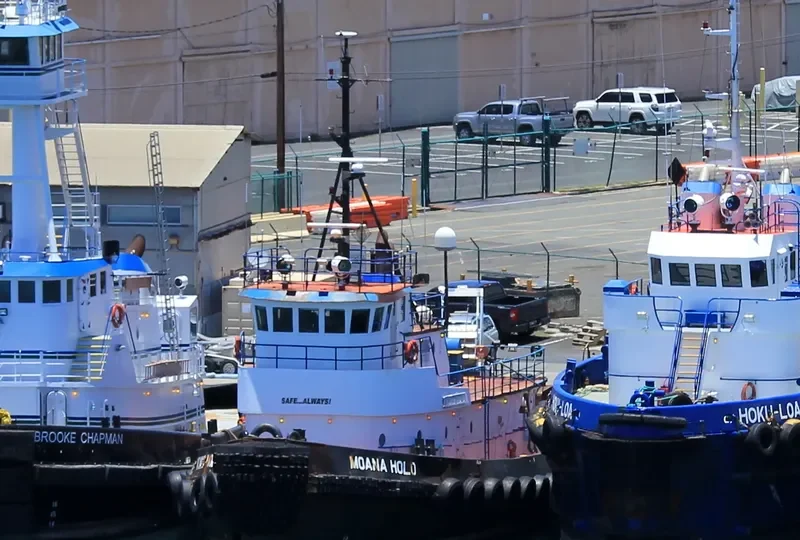MOANA HOLO General Cargo IMO 7626205 photo 7