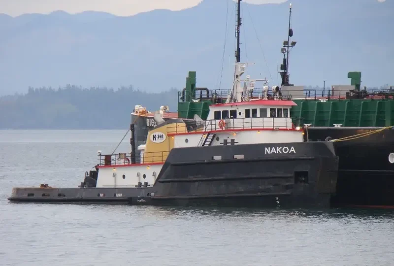 NAKOA General Cargo IMO 7626231 photo 9