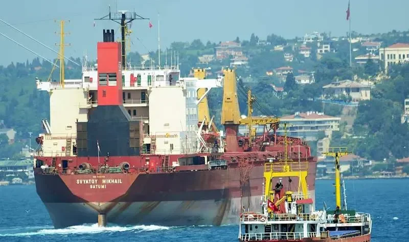 SVYATOY MIKHAIL Bulk Carrier IMO 7626384 photo 2