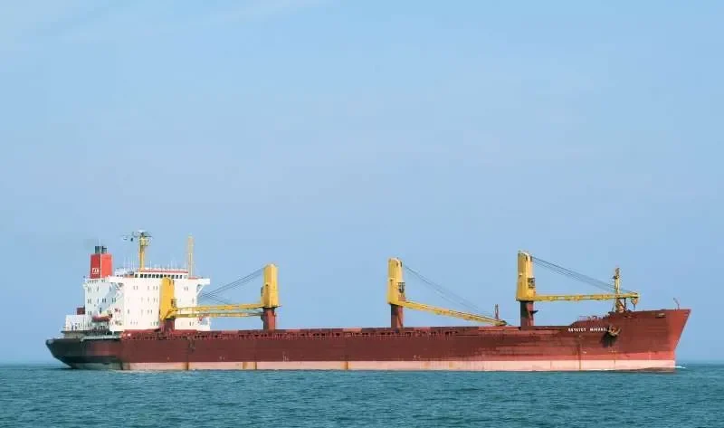 SVYATOY MIKHAIL Bulk Carrier IMO 7626384 photo 4