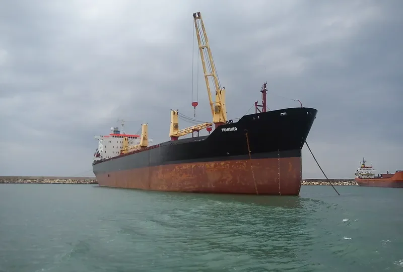TRANSMED Bulk Carrier IMO 7626396 photo 2