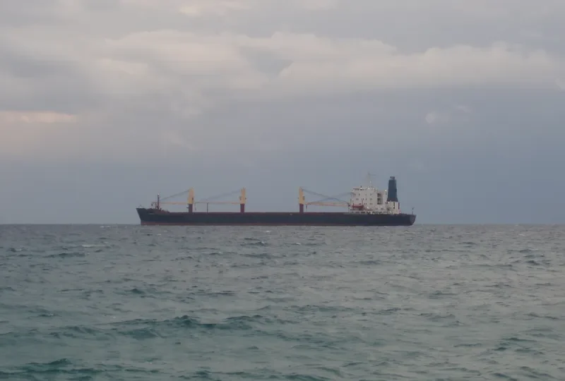 TRANSMED Bulk Carrier IMO 7626396 photo 4