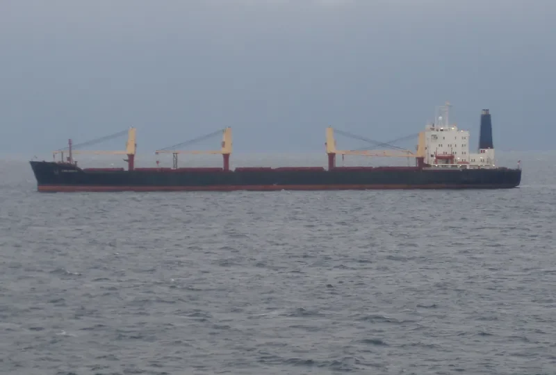 TRANSMED Bulk Carrier IMO 7626396 photo 5