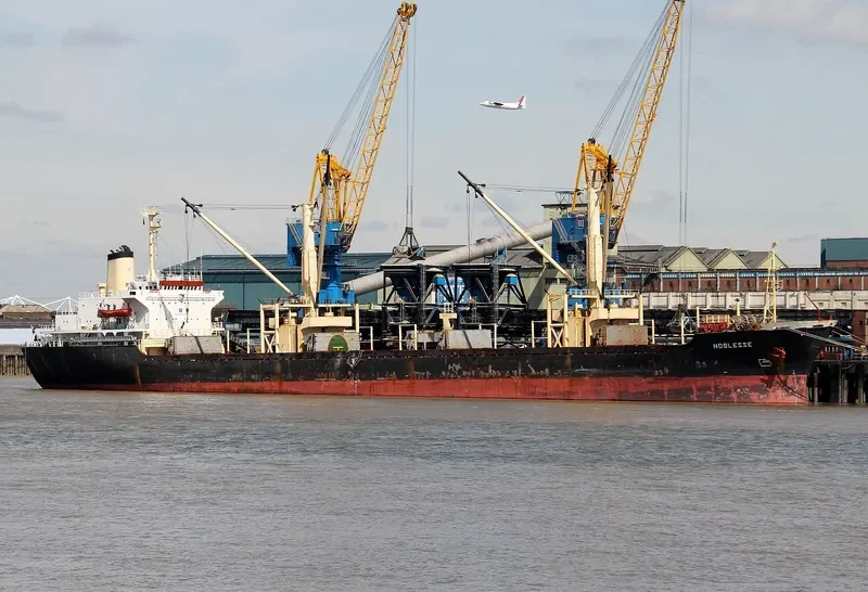 NOBLESSE Bulk Carrier IMO 7626499 photo 9