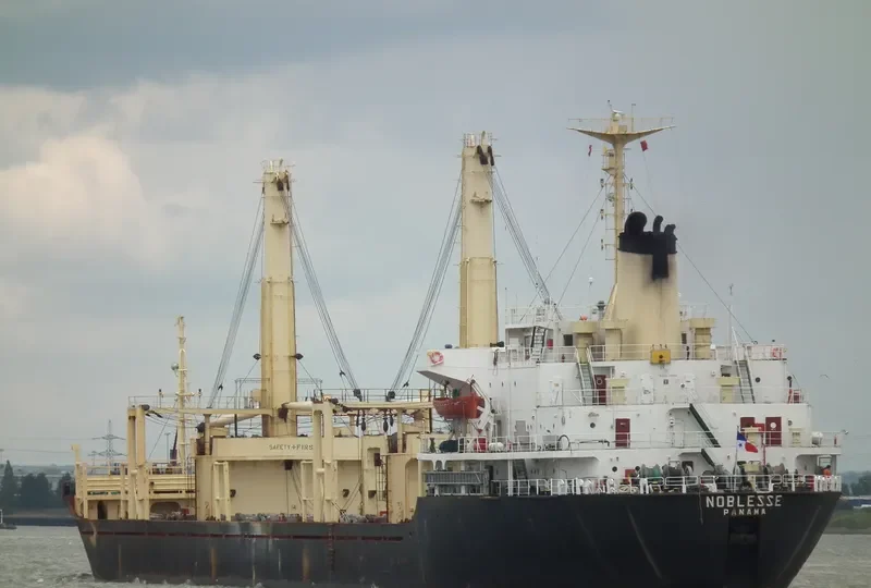 NOBLESSE Bulk Carrier IMO 7626499 photo 10