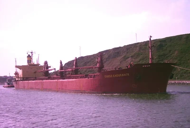 CARGO ENDURANCE Bulk Carrier IMO 7627273