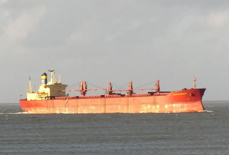 CARGO ENDURANCE Bulk Carrier IMO 7627273 photo 2